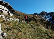 Quasi in vetta al MONTE SECCO (2293 m.) in solitaria con i camosci il 5 novembre 2012  - FOTOGALLERY